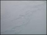 Click on one of the size names above to enlarge this image Click on one of the size names above to enlarge this image