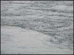 Click on one of the size names above to enlarge this image Click on one of the size names above to enlarge this image