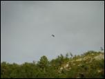 Click on one of the size names above to enlarge this image Click on one of the size names above to enlarge this image