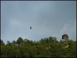 Click on one of the size names above to enlarge this image Click on one of the size names above to enlarge this image