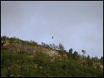 Click on one of the size names above to enlarge this image Click on one of the size names above to enlarge this image