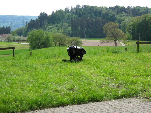 Bild